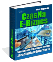 CzasNaE-Biznes